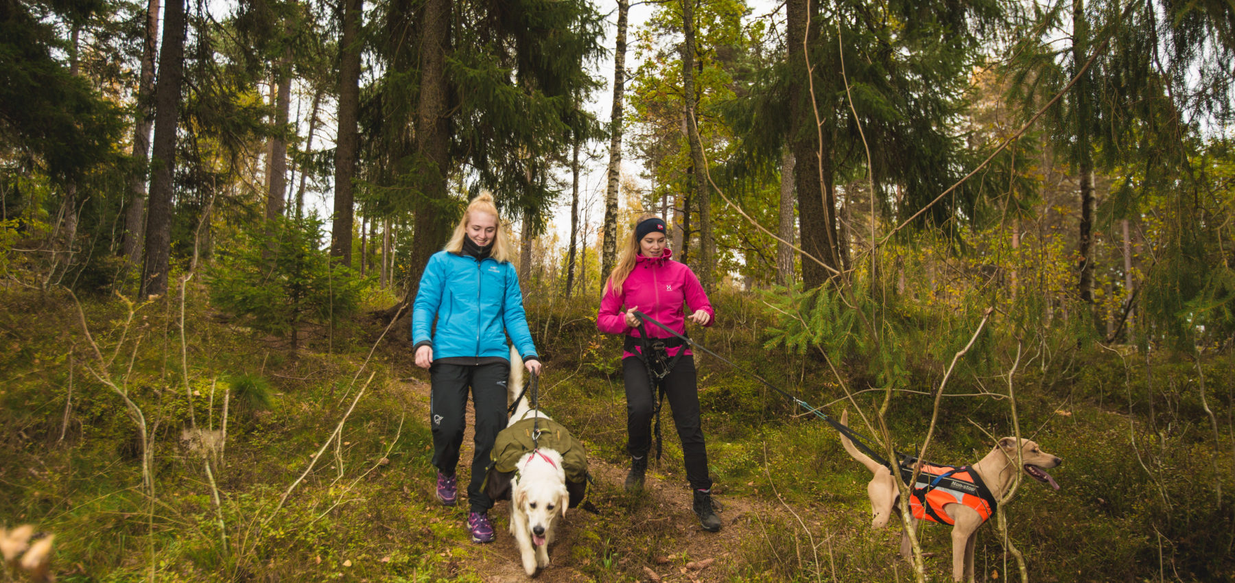 jenter på tur med hund