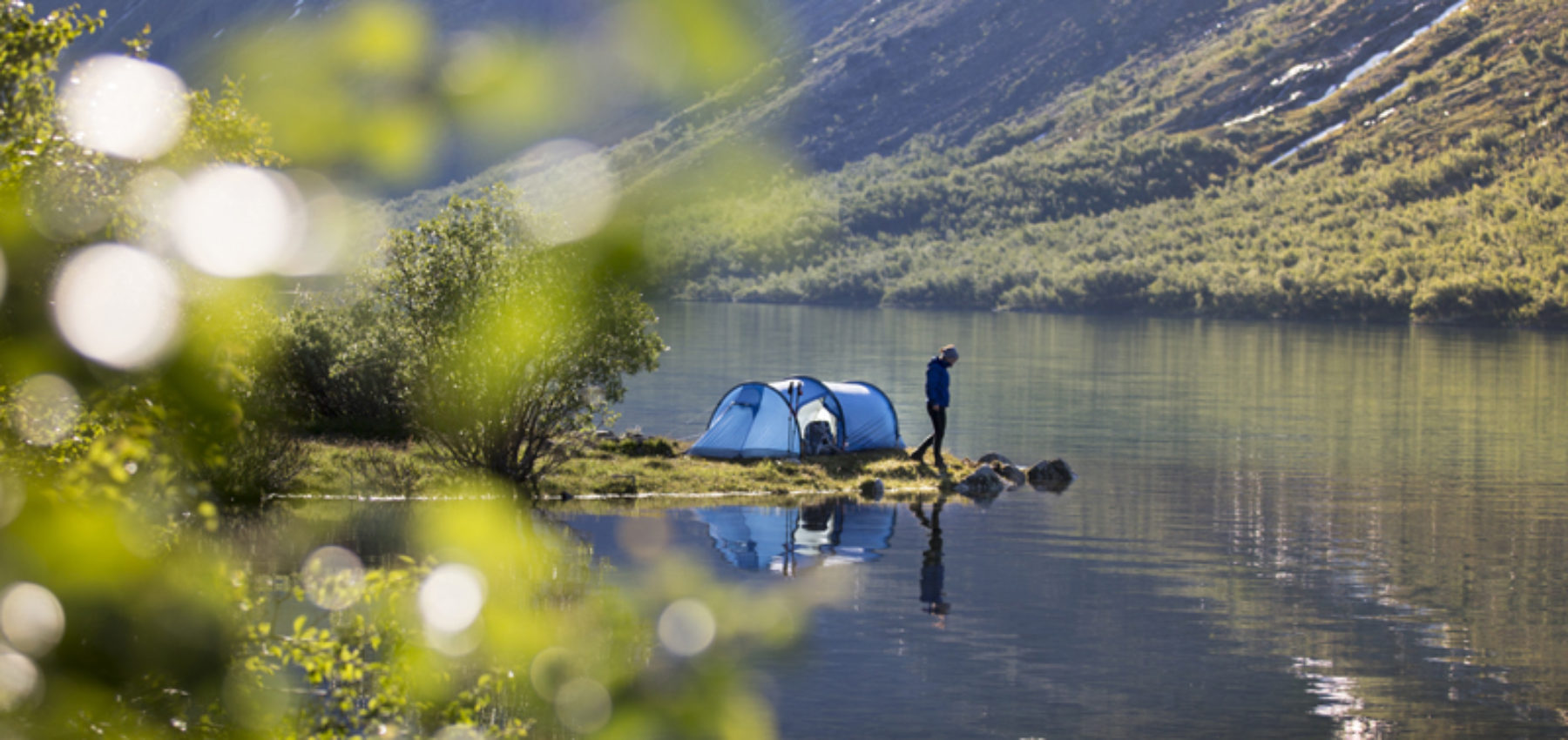 teltjakten 2019