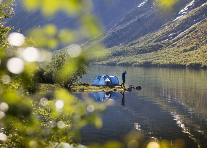 teltjakten 2019