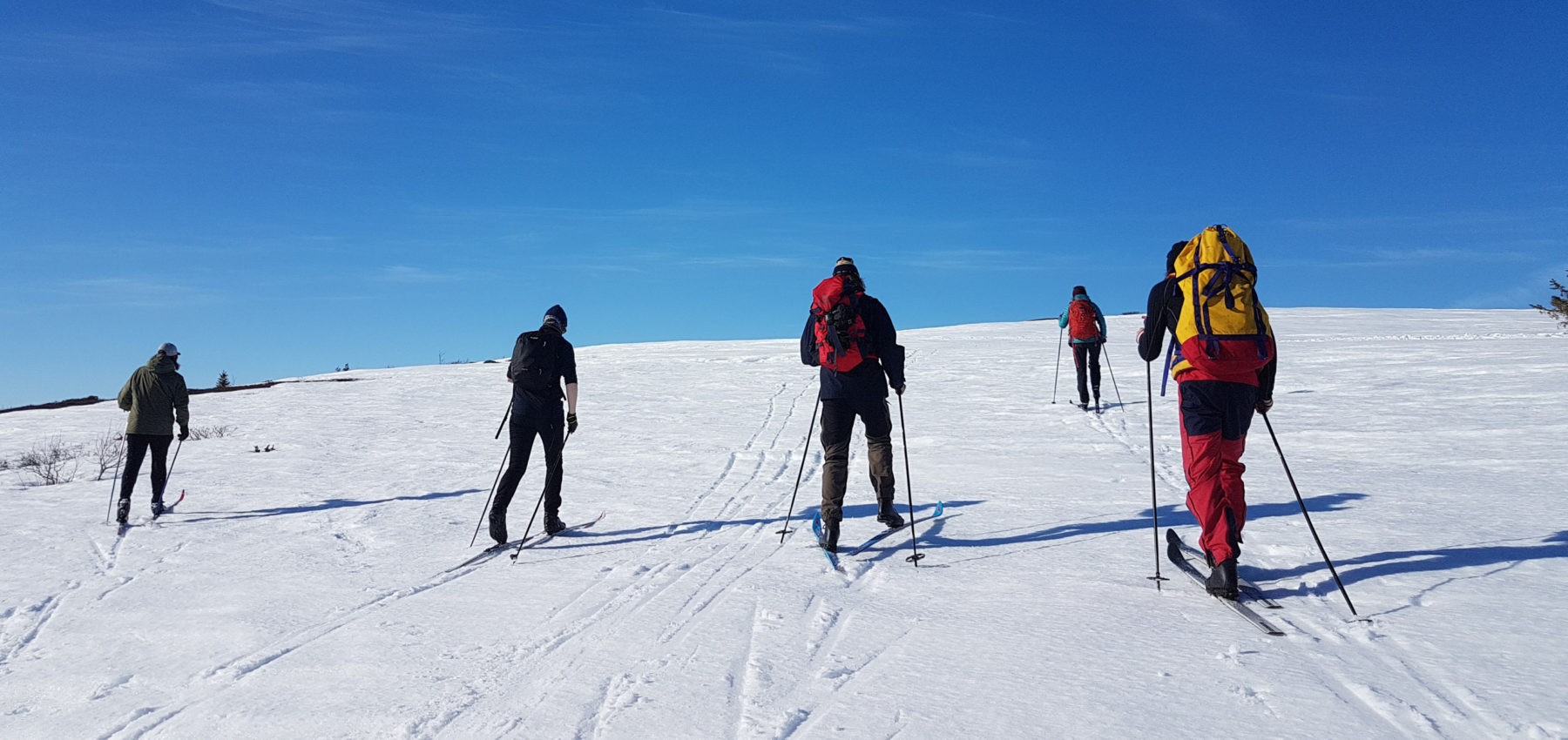 En vennegjeng på skitur under blå himmel.