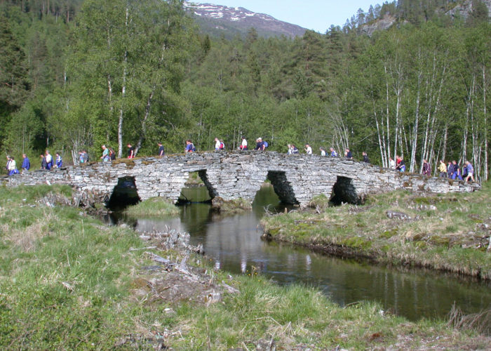 Norges Turmarsjforbund