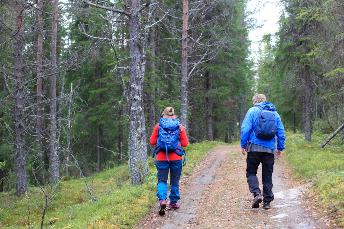 To mennesker på tur i skogen