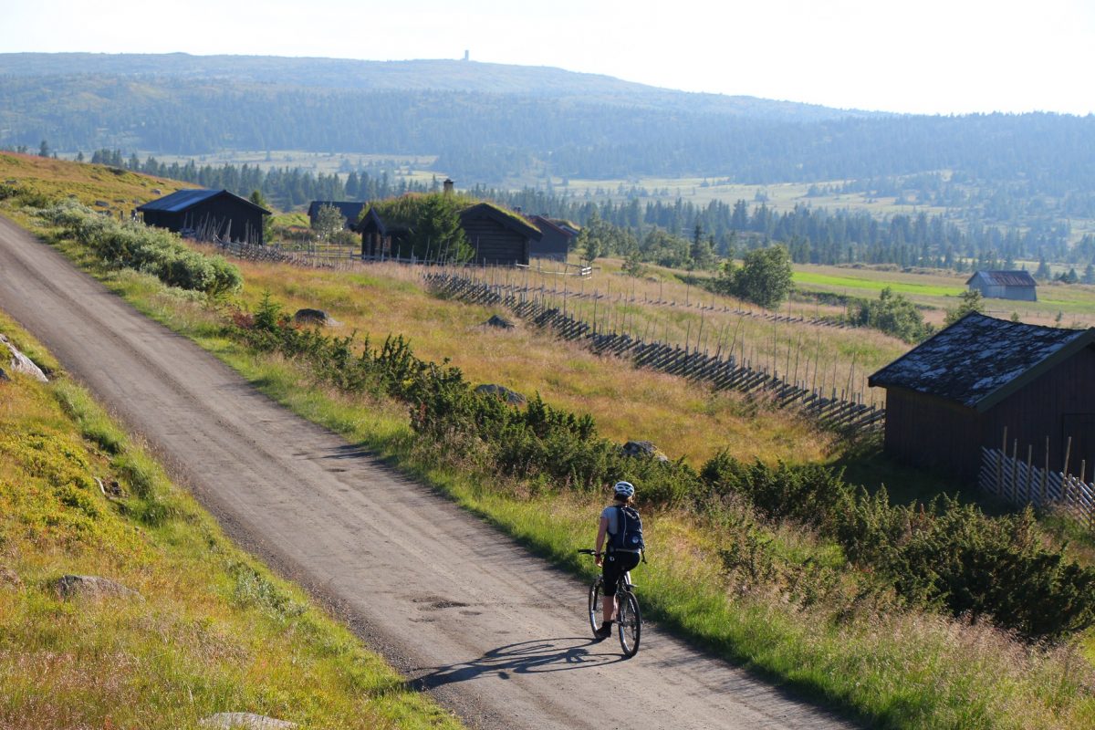 Syklist på fjellvei