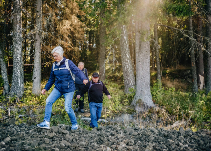 En eldre dame og to eldre menn går på tur sammen i høstlig skog.